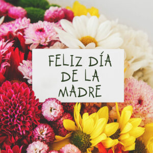 Mother's Day Menu Sunday 30th March - Last Orders 10am on Friday 28th March 2025